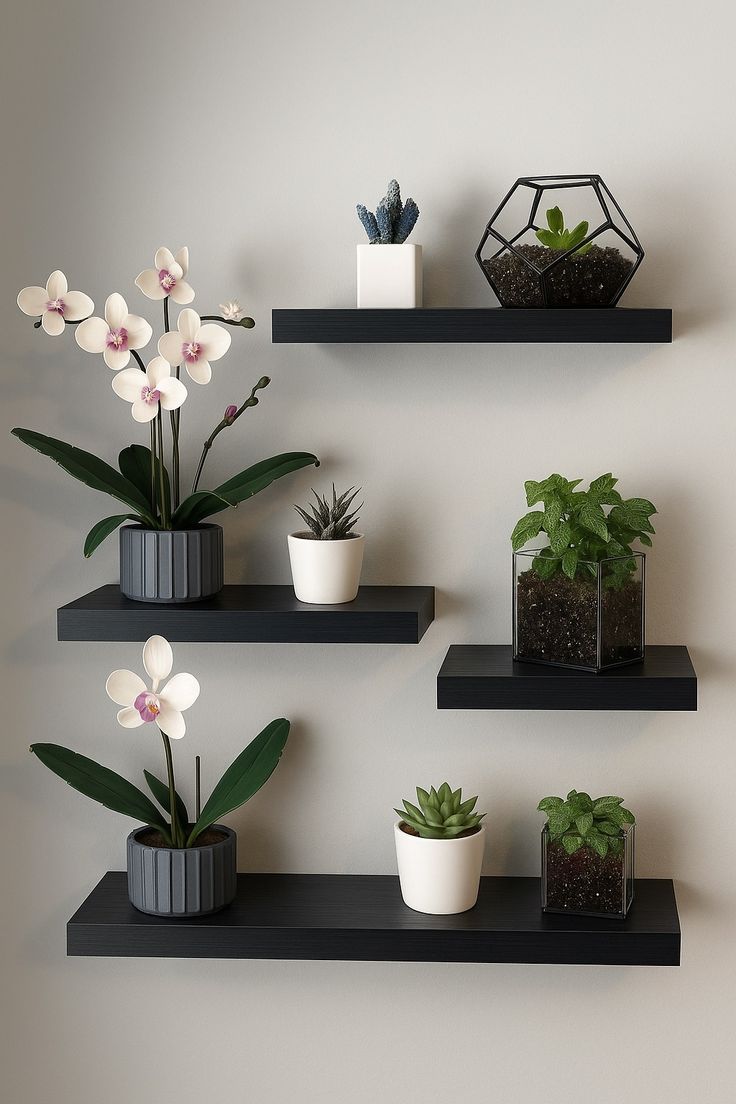 Floating Shelves